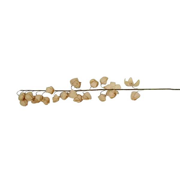 Vitale Krem Alıç Dalı 144 cm(AK.LD0020) - 2