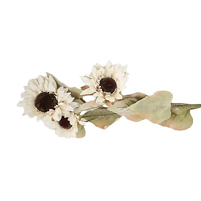 Vitale Krem Ayçiçeği 81 cm(AK.LD0083) - Vitale (1)