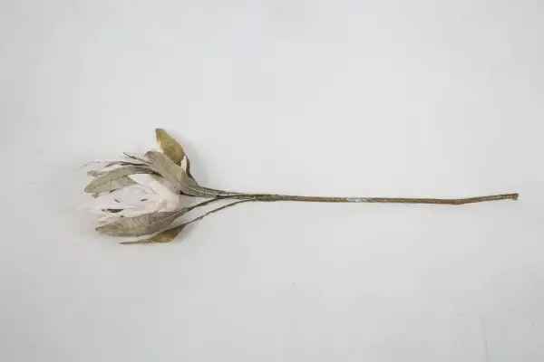 Vitale Krem Protea Dalı 88 cm(AK.LD0085) - 1