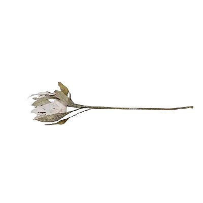 Vitale Krem Protea Dalı 88 cm(AK.LD0085) - Vitale (1)