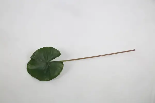 Vitale Lotus Yaprağı 74 cm(AK.LD0077) - 1