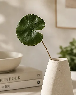 Vitale Lotus Yaprağı 74 cm(AK.LD0077) - 1