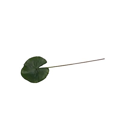 Vitale Lotus Yaprağı 74 cm(AK.LD0077) - Vitale (1)