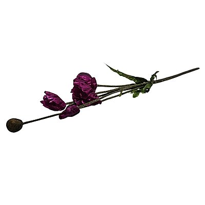 Vitale Mor Gelincik 67 cm (AK.AC0039) - 5