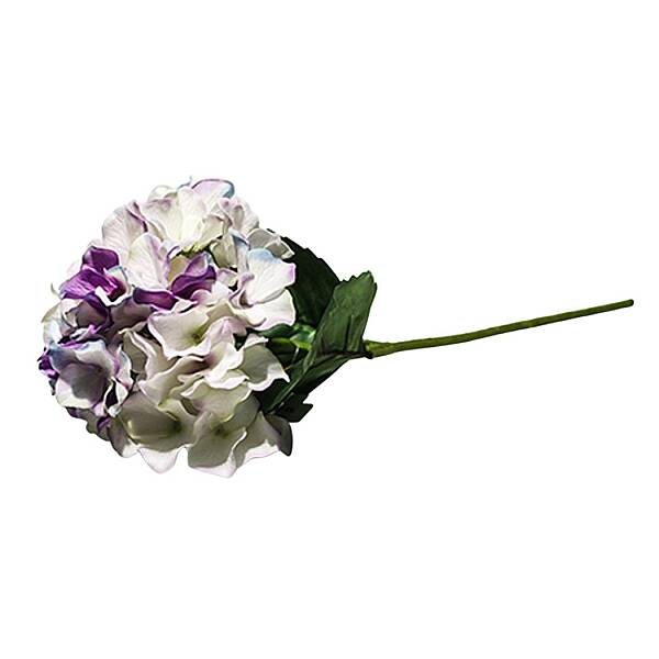 Vitale Soft Mor Ortanca 43 cm (AK.AC0015) - 5