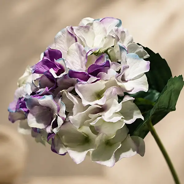 Vitale Soft Mor Ortanca 43 cm (AK.AC0015) - 2