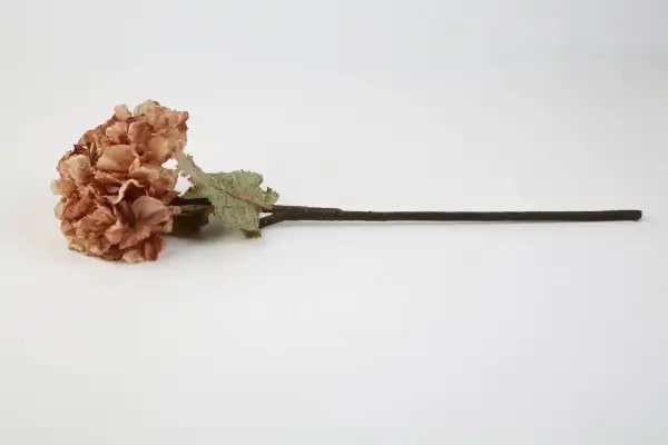 Vitale Somon Kuru Ortanca Dalı 53 cm(AK.LD0074) - 1