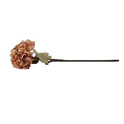 Vitale Somon Kuru Ortanca Dalı 53 cm(AK.LD0074) - Vitale (1)