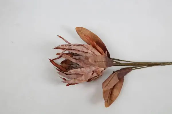 Vitale Somon Protea Dalı 88 cm(AK.LD0084) - 1