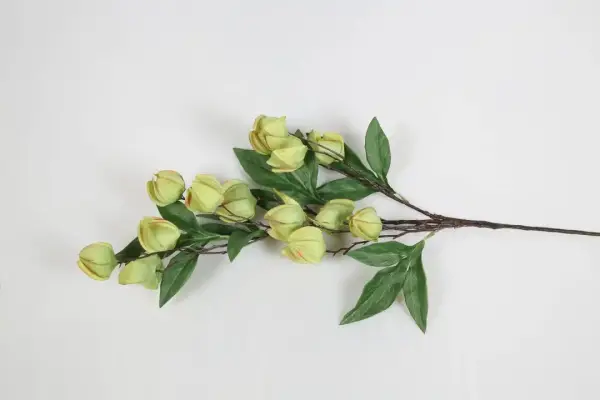 Vitale Yeşil Leucocoryne Dalı 83 cm(AK.LD0030) - 1