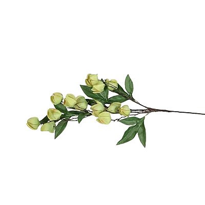 Vitale Yeşil Leucocoryne Dalı 83 cm(AK.LD0030) - Vitale (1)