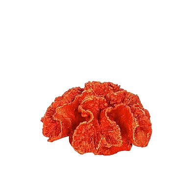Vitale Yuvarlak Küçük Mercan (AK.TT0062) - Vitale (1)
