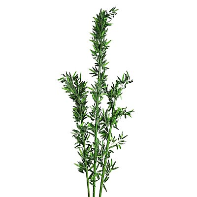 Yapay Ağaç 250CM (AK.BG0303) - 5