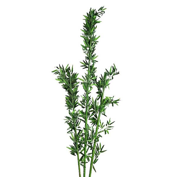 Yapay Ağaç 250CM (AK.BG0303) - 5