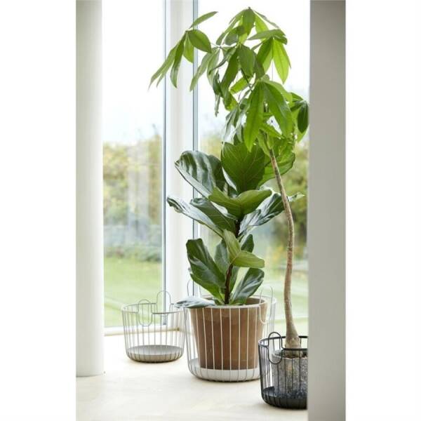 Zone Denmark Inu Masa Üstü Tel Sepet Siyah 30*30 cm (ZD 10554) - 1